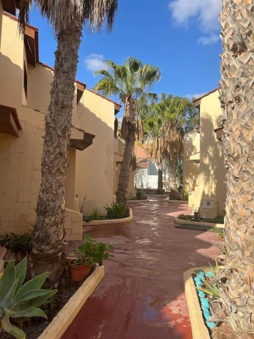 Casa Cactus Paraiso Parque Holandes 外观 照片