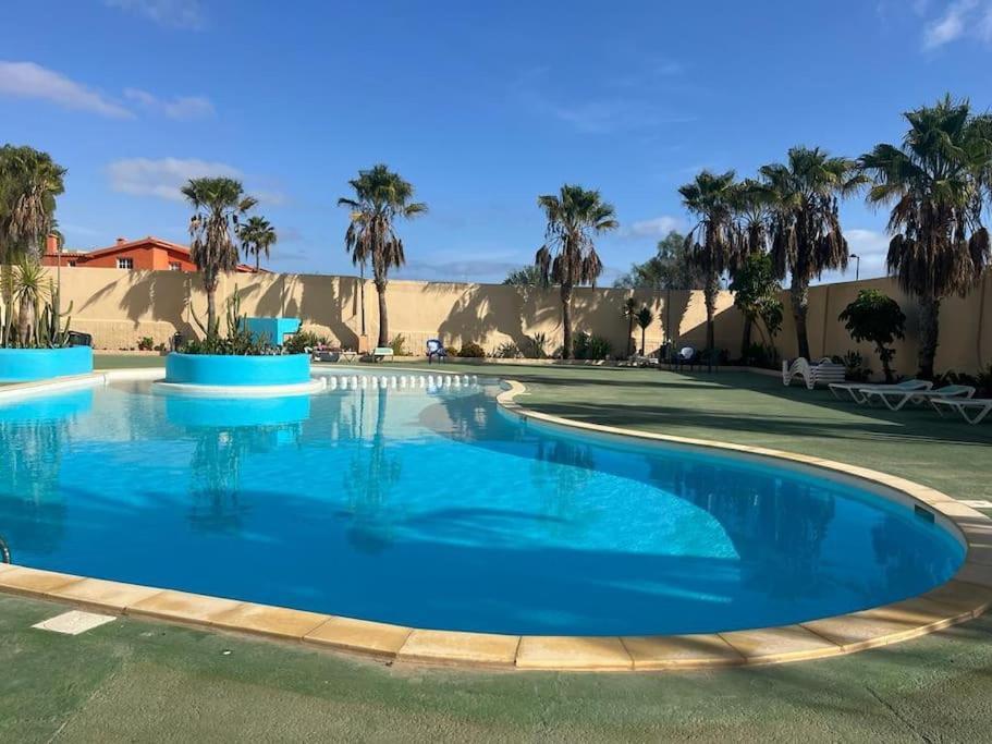 Casa Cactus Paraiso Parque Holandes 外观 照片