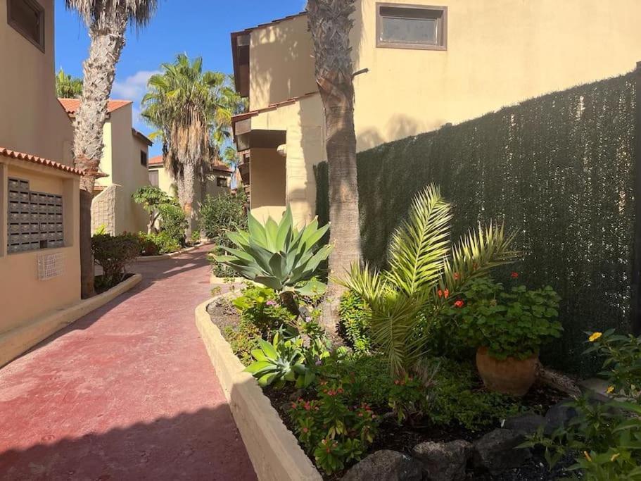Casa Cactus Paraiso Parque Holandes 外观 照片